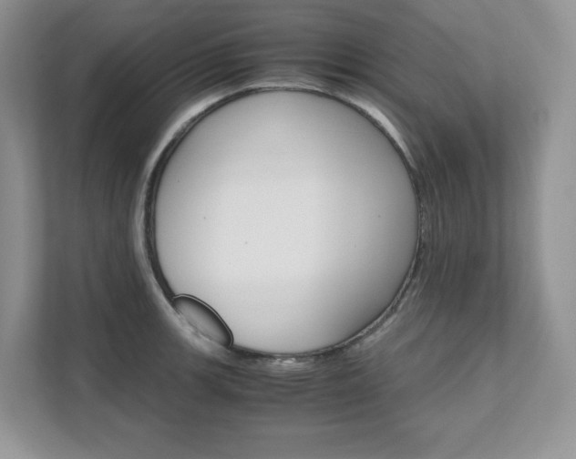 X0000111681139200907171459