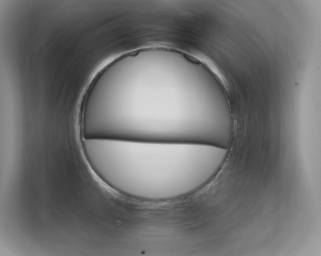 X0000111681143200907171459