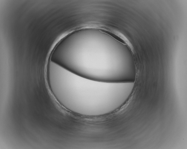 X0000111681146200907171459