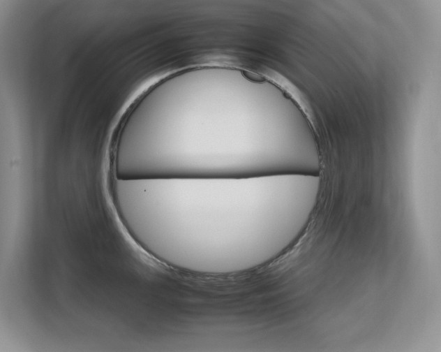 X0000111681147200907171459