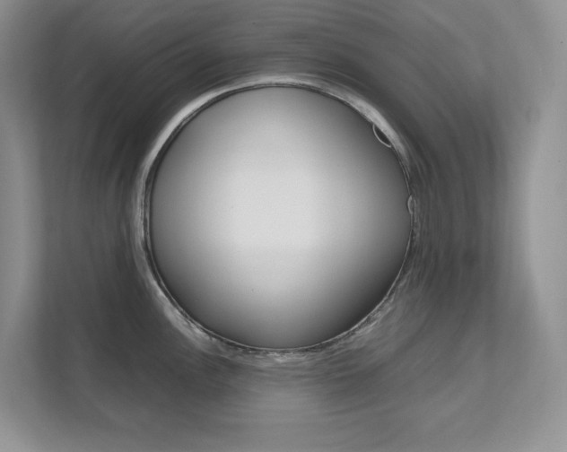 X0000111681148200907171459