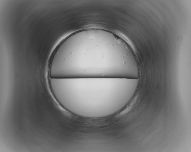 X0000111681149200907171459