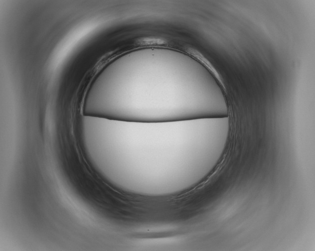 X0000111681151200907171459