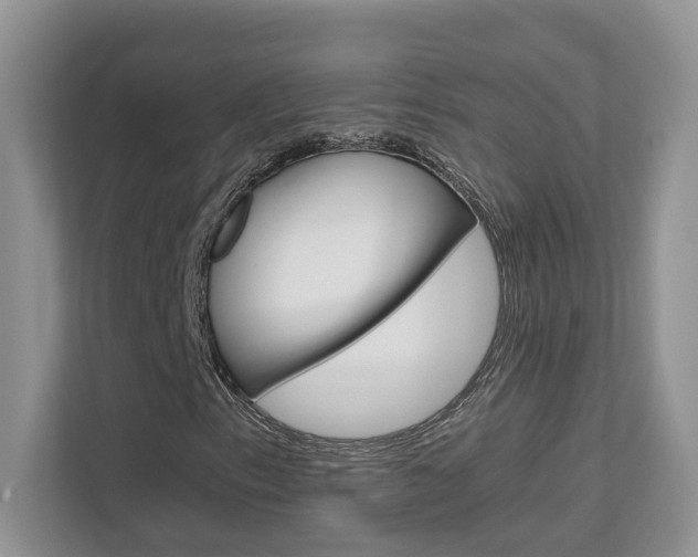 X0000111681153200907171459