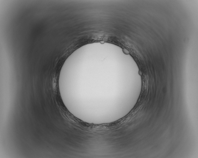 X0000111681154200907171459