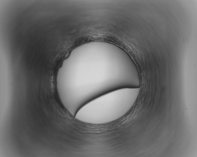 X0000111681156200907171459