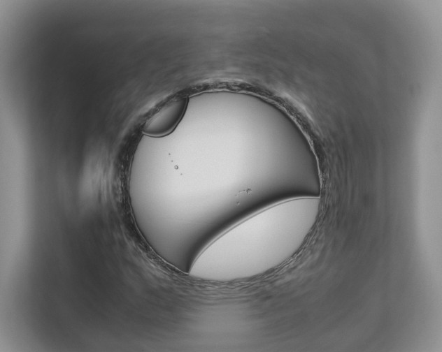 X0000111681159200907171459