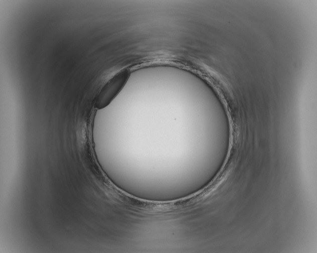 X0000111681161200907171459