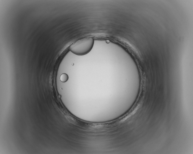X0000111681162200907171459
