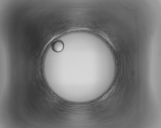 X0000111681165200907171459