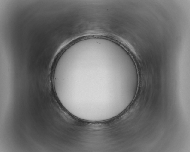 X0000111681168200907171458