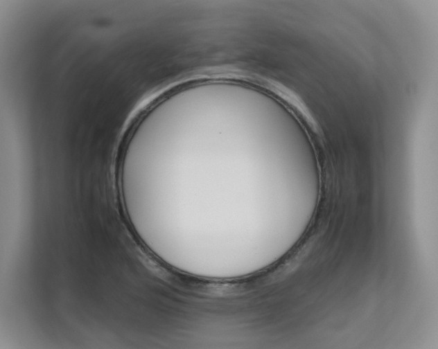X0000111681176200907171458