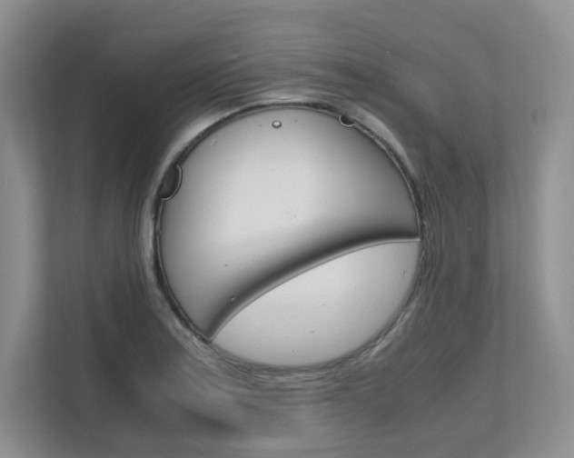 X0000111681179200907171458