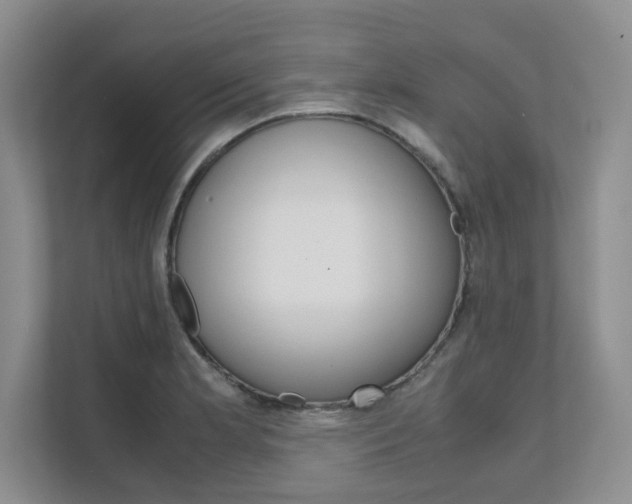 X0000111681181200907171458