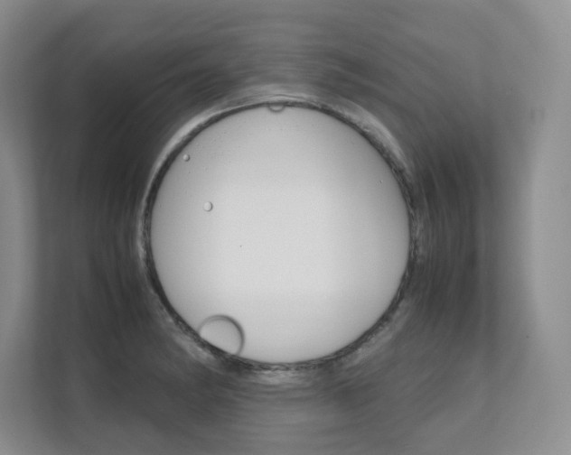 X0000111681182200907171458