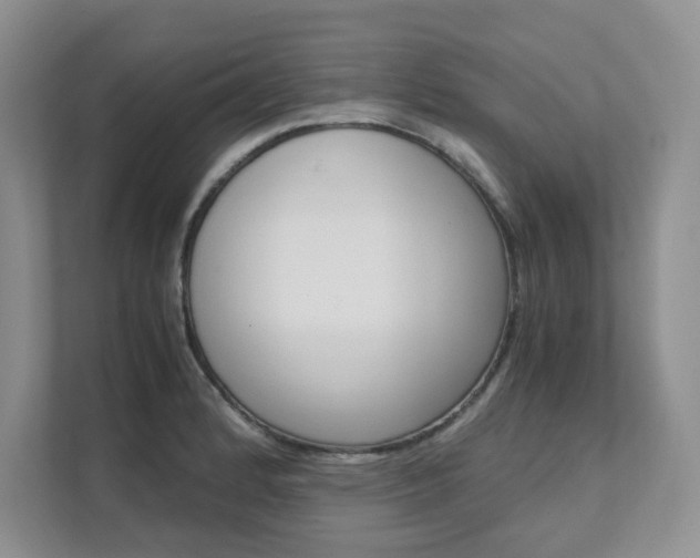 X0000111681184200907171458