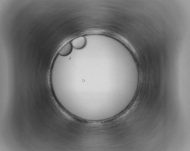 X0000111681186200907171458