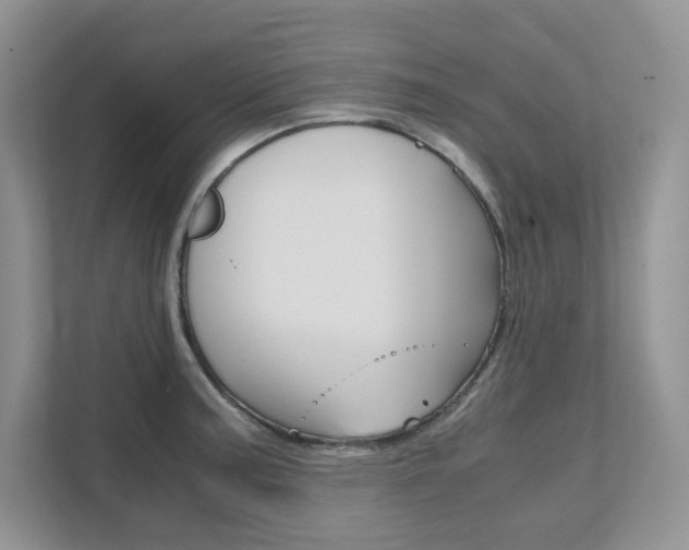 X0000111681187200907171458
