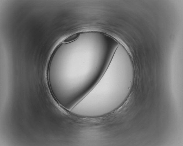 X0000111681197200907171458