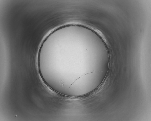 X0000111681199200907171458