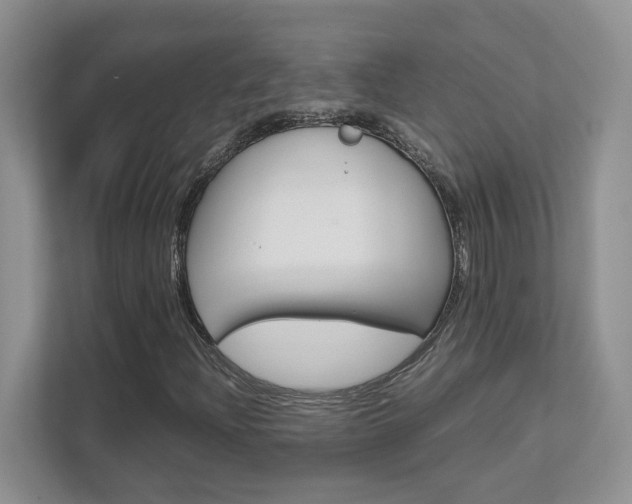 X0000111681204200907171457