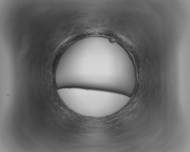 X0000111681206200907171458