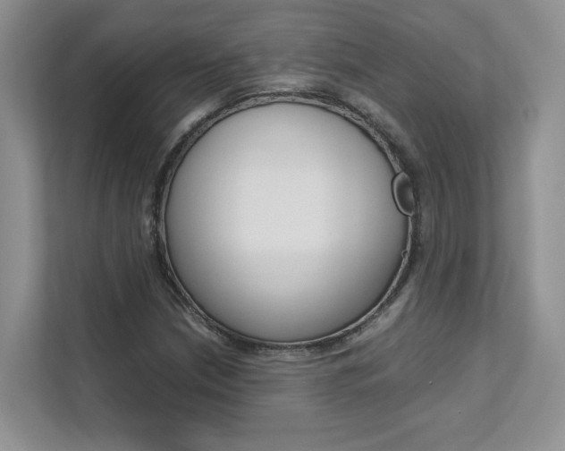 X0000111681210200907171458
