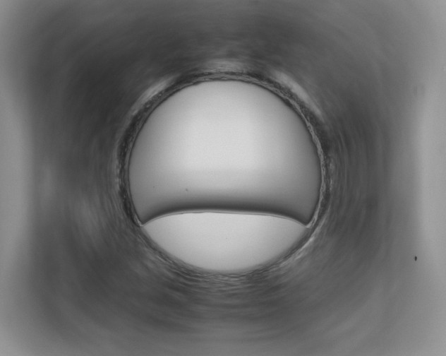 X0000111681213200907171458