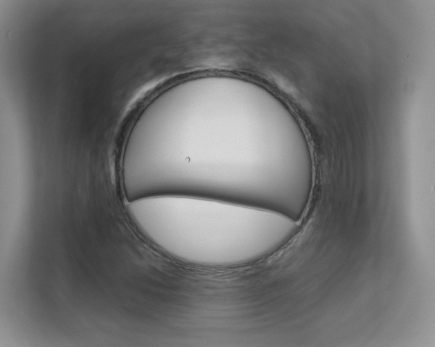X0000111681214200907171458