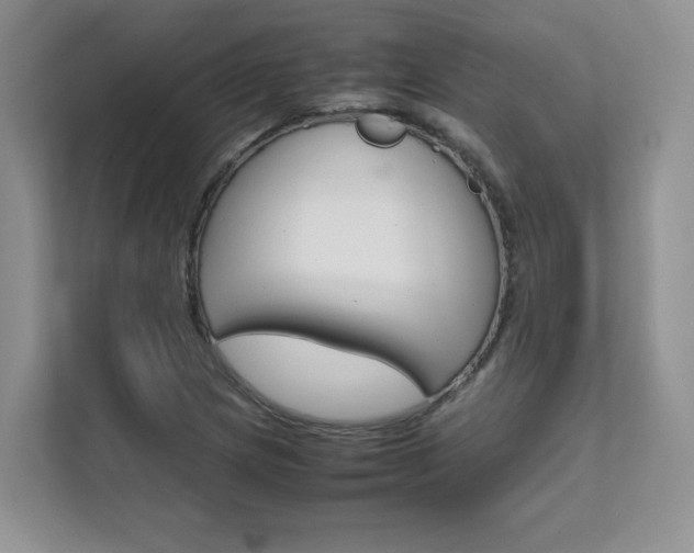 X0000111681217200907171458