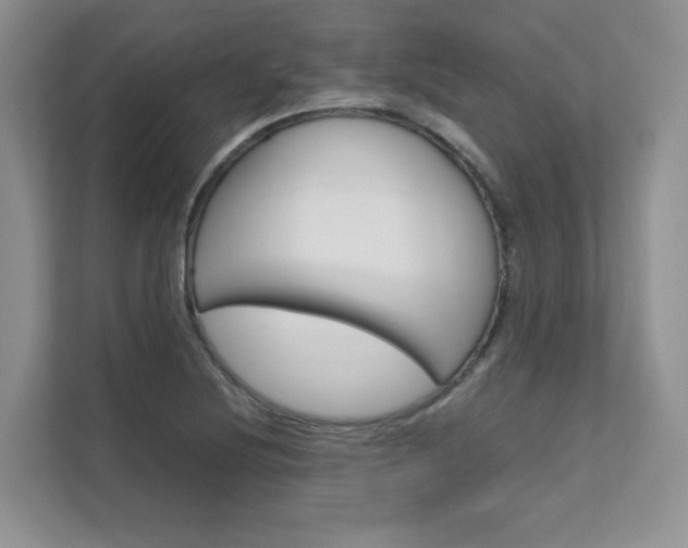 X0000111681220200907171458