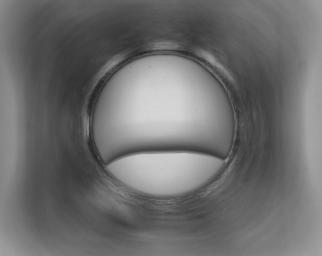 X0000111681221200907171458