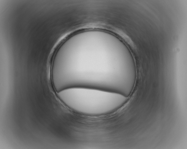 X0000111681224200907171458
