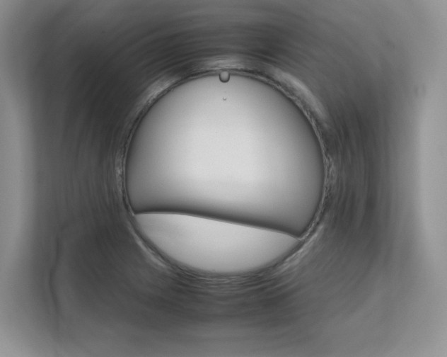 X0000111681225200907171458