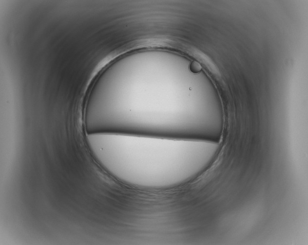 X0000111681226200907171458