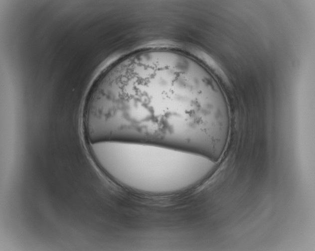 X0000111681229200907171458