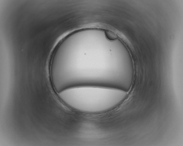 X0000111681230200907171458