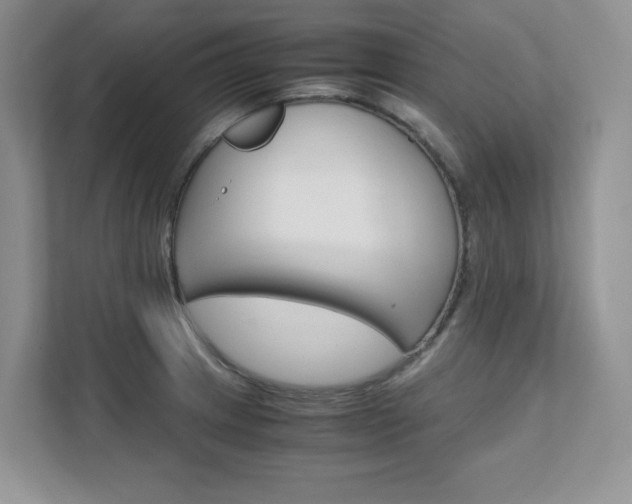 X0000111681233200907171458