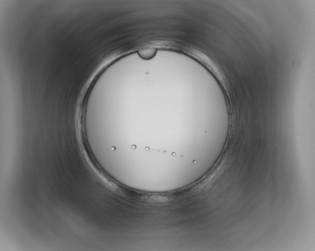 X0000111681235200907171458