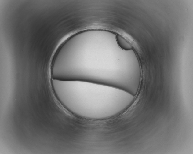 X0000111681238200907171458