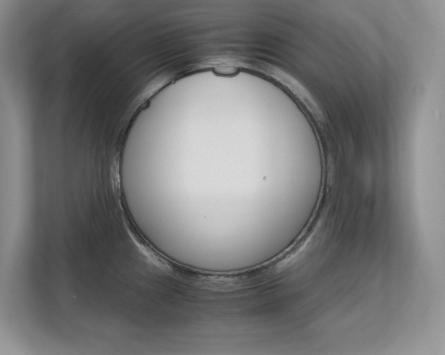 X0000111681241200907171458