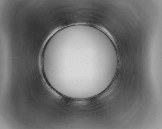 X0000111681243200907171458