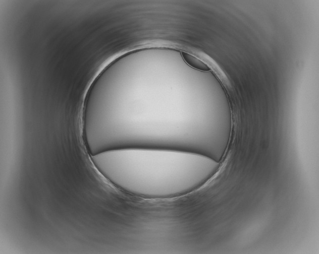 X0000111681244200907171458