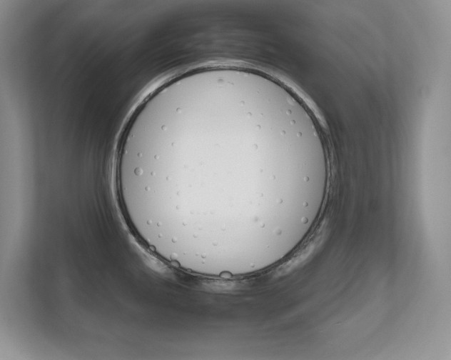 X0000111681245200907171458