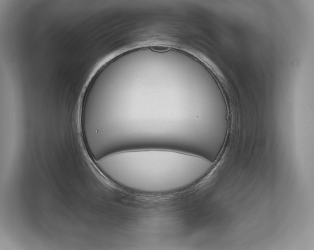 X0000111681246200907171458