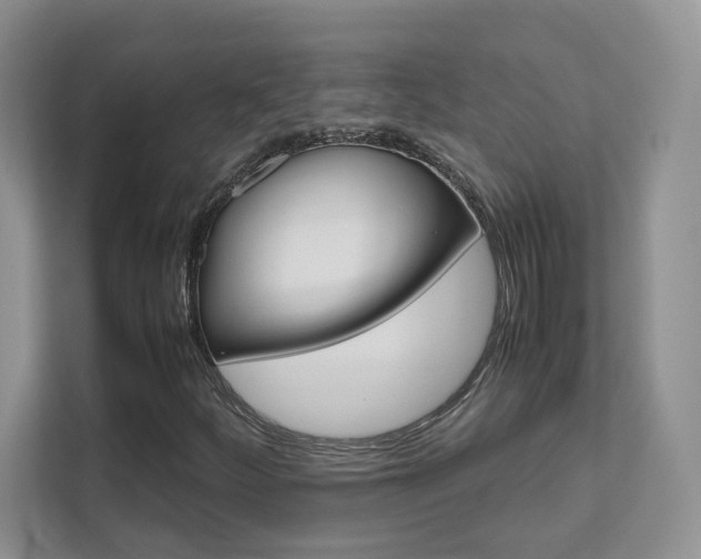 X0000111681252200907171457