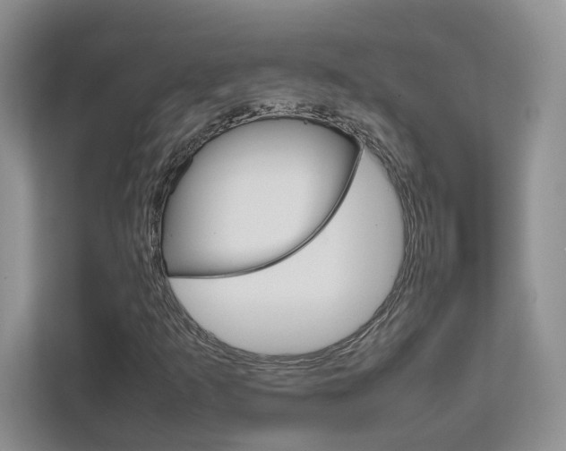X0000111681253200907171457