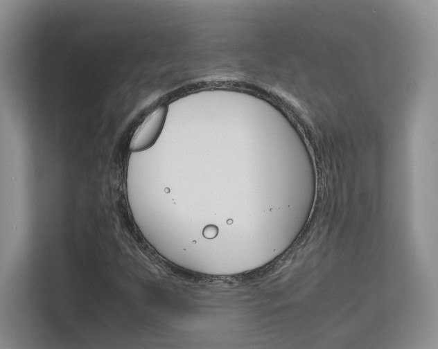 X0000111681255200907171457