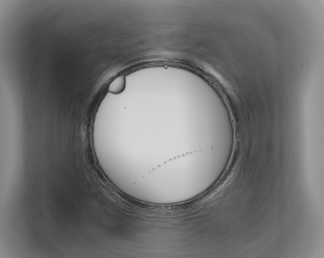 X0000111681259200907171457