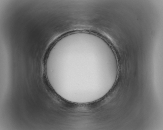 X0000111681267200907171457
